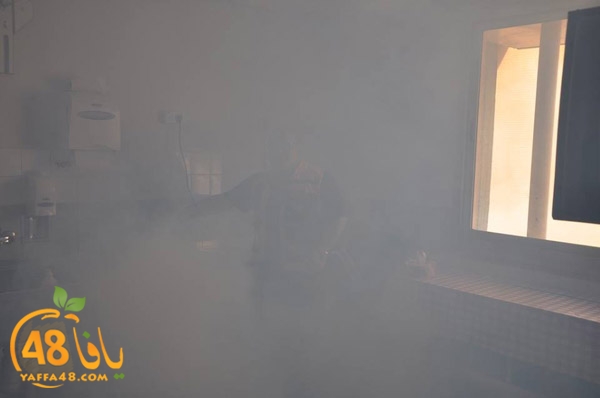 tamren asaf harof3e (2).jpg